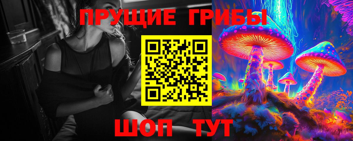 закладки  Вход с VPN  Энгельс  Галлюциногенные грибы прущие грибы 
